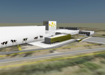 Kavand E-Piima uuest ühistulisest piima töötlemise tehasest