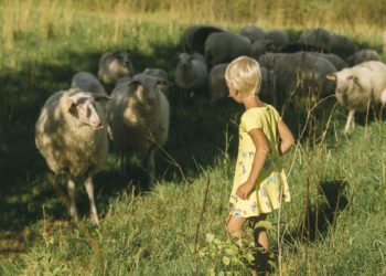 Foto: taluliit annab agroturismile hoogu