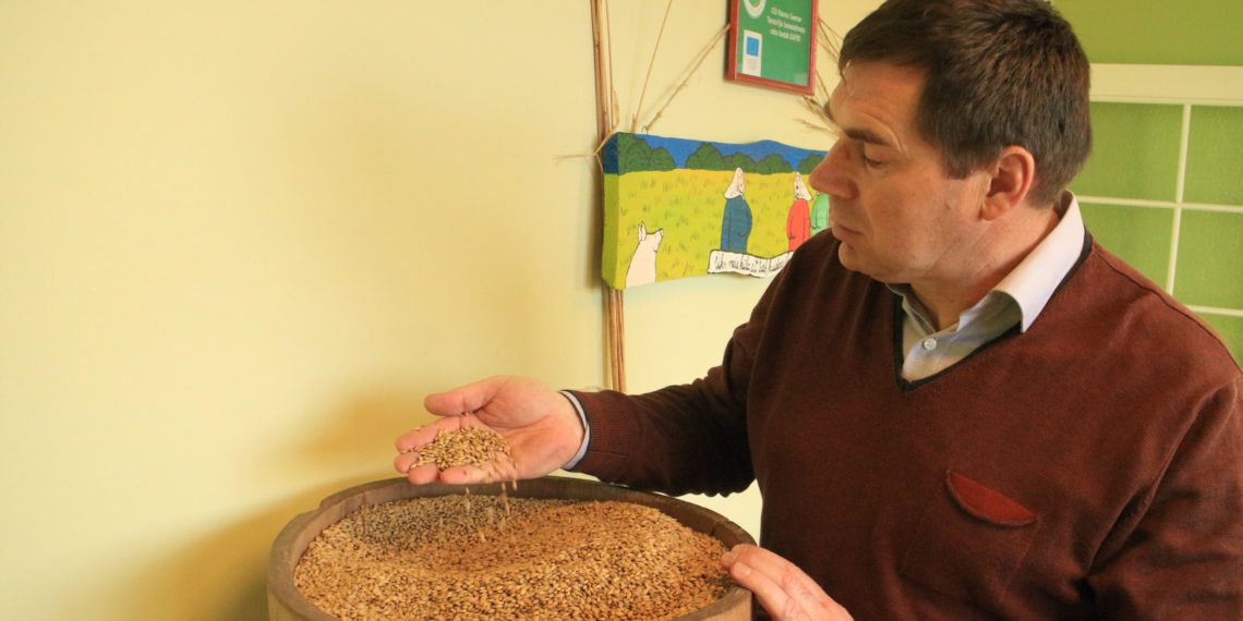 Foto: Madis Ajaots, seemnekasvatuse tipp Eestis