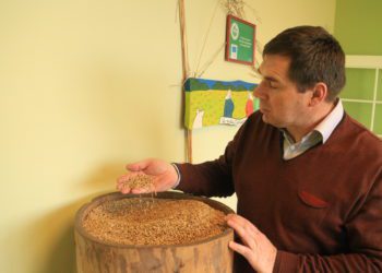 Foto: Madis Ajaots, seemnekasvatuse tipp Eestis