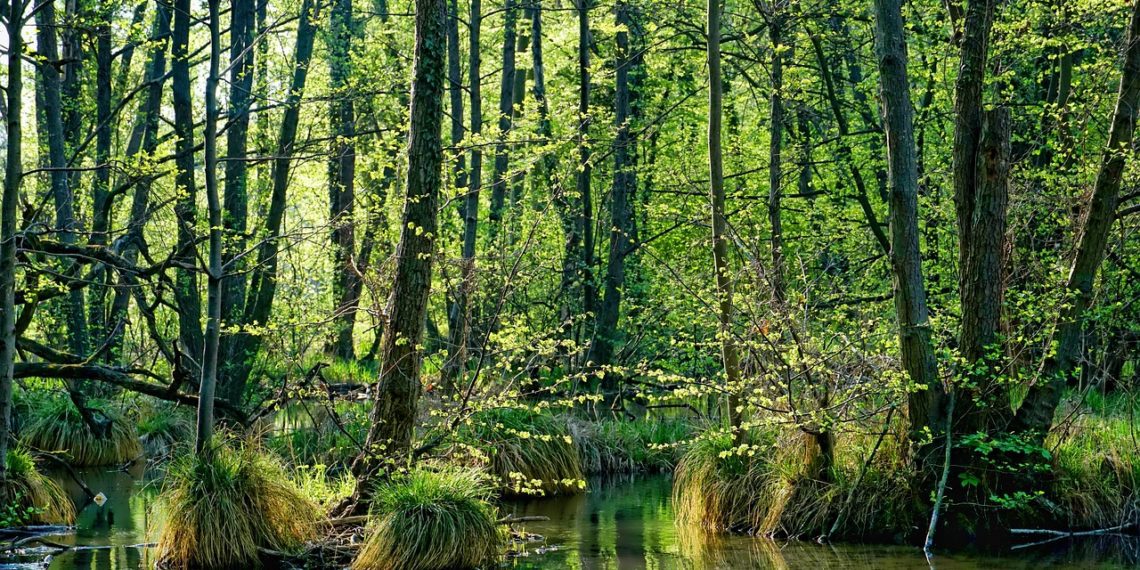 Foto: veekaitsenõuded puudutavad ka põllumeest