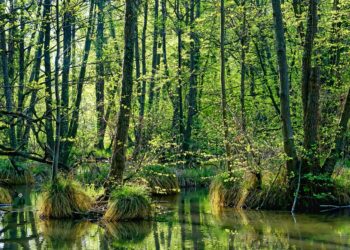 Foto: veekaitsenõuded puudutavad ka põllumeest