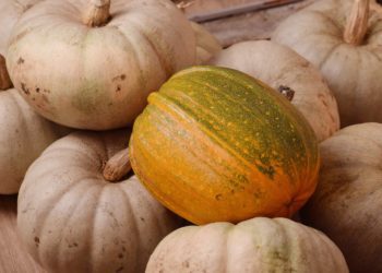 Foto: mahetoetuste vähendamine 14%