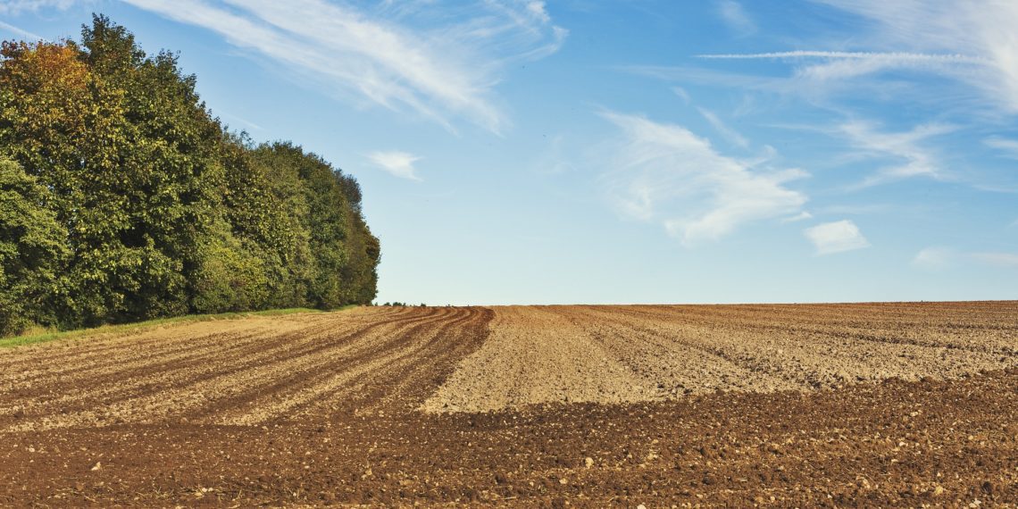 Taotleda saab programmperioodi 2023–2027 toetusi, mida sel aastal on üle 20. Foto: Pixabay