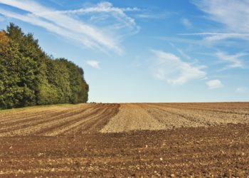 Taotleda saab programmperioodi 2023–2027 toetusi, mida sel aastal on üle 20. Foto: Pixabay