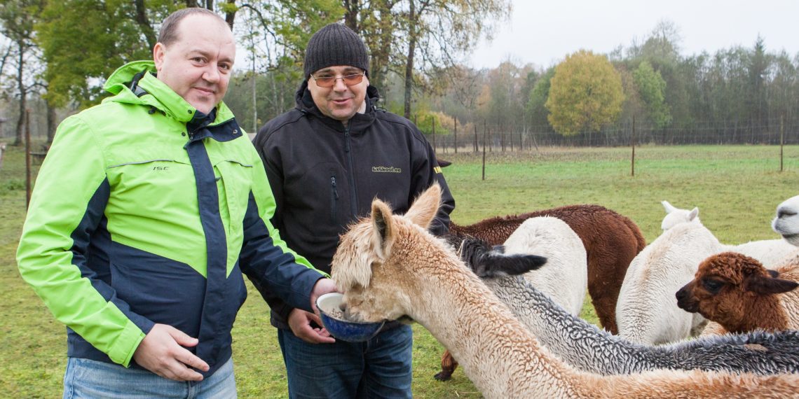Lembit Ostra jar Imre Heinsaar, Wile Farm