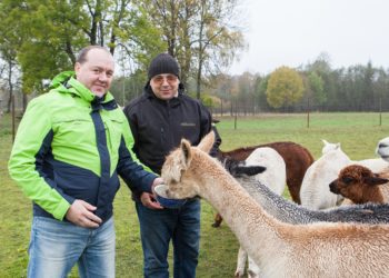 Lembit Ostra jar Imre Heinsaar, Wile Farm