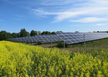 Foto: Epp ja Tarmo Säga ehitasid mullu 270 kW päikesejaama