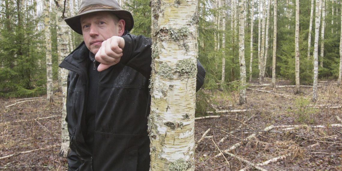 Foto: Veiko Uri, metsad ootavad raiumist