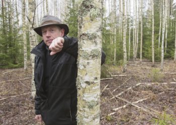 Foto: Veiko Uri, metsad ootavad raiumist