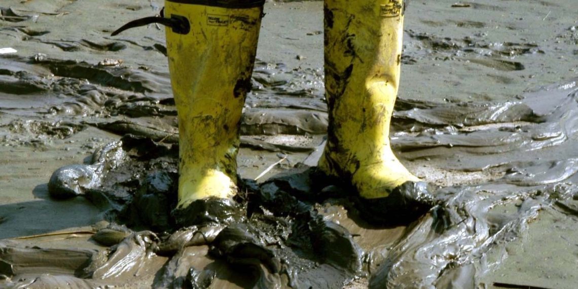 Foto: põllumeeste küsitlusele vastanud - ilmataat ei hellitanud