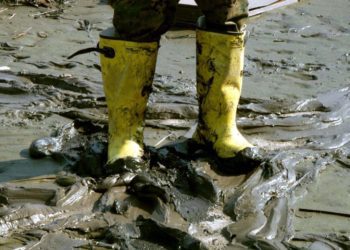 Foto: põllumeeste küsitlusele vastanud - ilmataat ei hellitanud