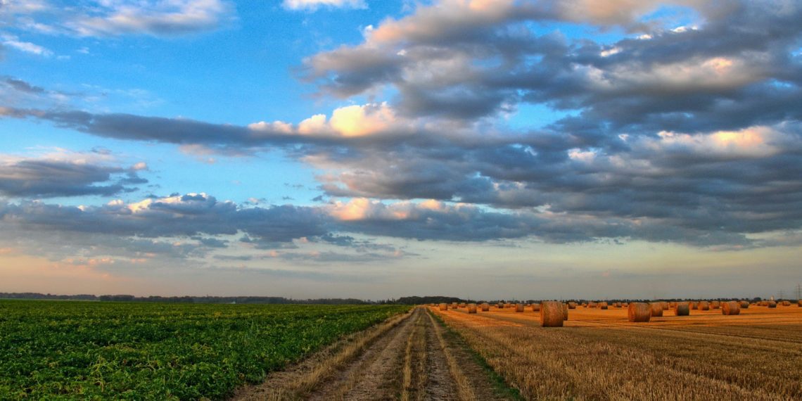 Põllumajanduslike majapidamiste elujõulisust mõjutavad toetused ja hinnad