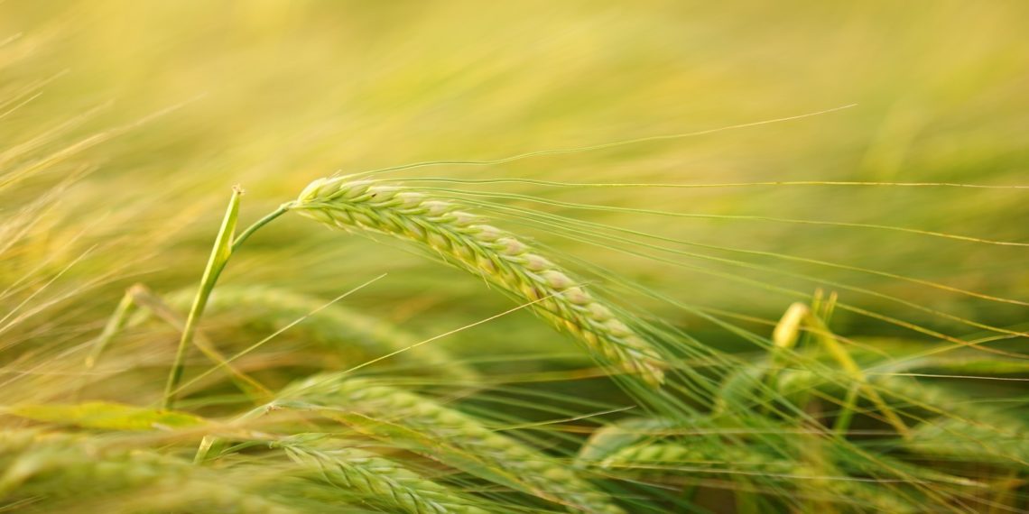 Foto: tarbija ootab selgust