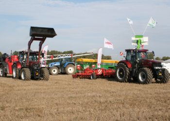 Hobujõud Olustveres. Foto: Ain Alvela