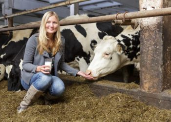 Ly Kivikas, Kaisma OÜ, sööda keemiline ja bioloogiline ohutus ning kvaliteet