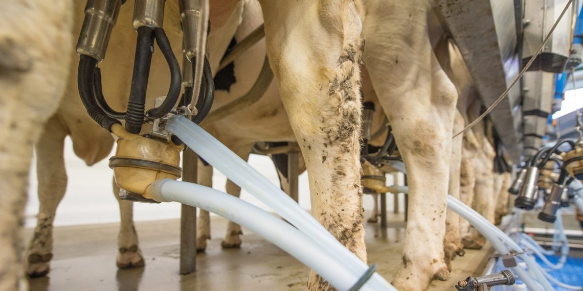 Karjaterviseprogrammide katseprojekt. Foto: Pixabay