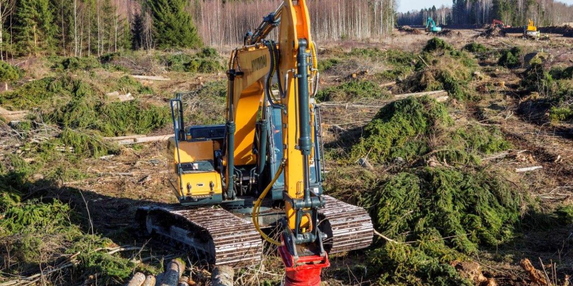 Sügisel on hea aeg võsa lõigata. Võsagiljotiin lõikab maha kuni kolmekümnesentimeetrised puud ning kogub need kimpudesse. Foto: Eramets