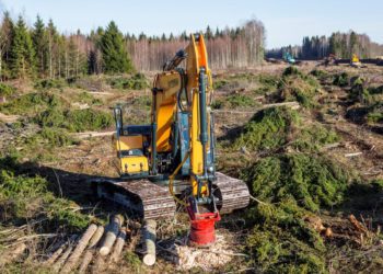 Sügisel on hea aeg võsa lõigata. Võsagiljotiin lõikab maha kuni kolmekümnesentimeetrised puud ning kogub need kimpudesse. Foto: Eramets