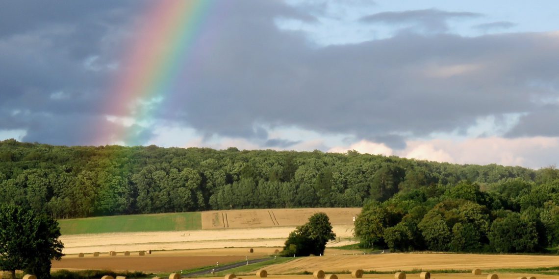 Põllumajanduspoliitika