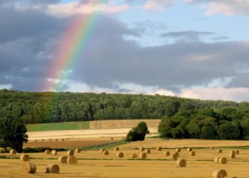 Põllumajanduspoliitika