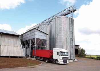 Teravilja sorteerimine