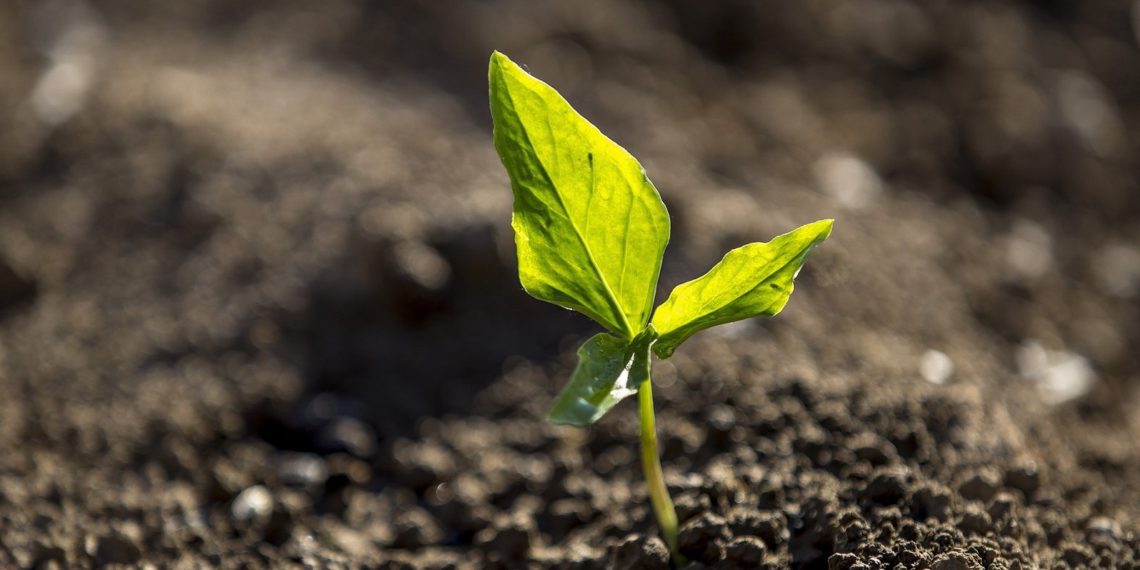 Arvamus: edukate riikide majandusmudel põhineb ühistegevusel.