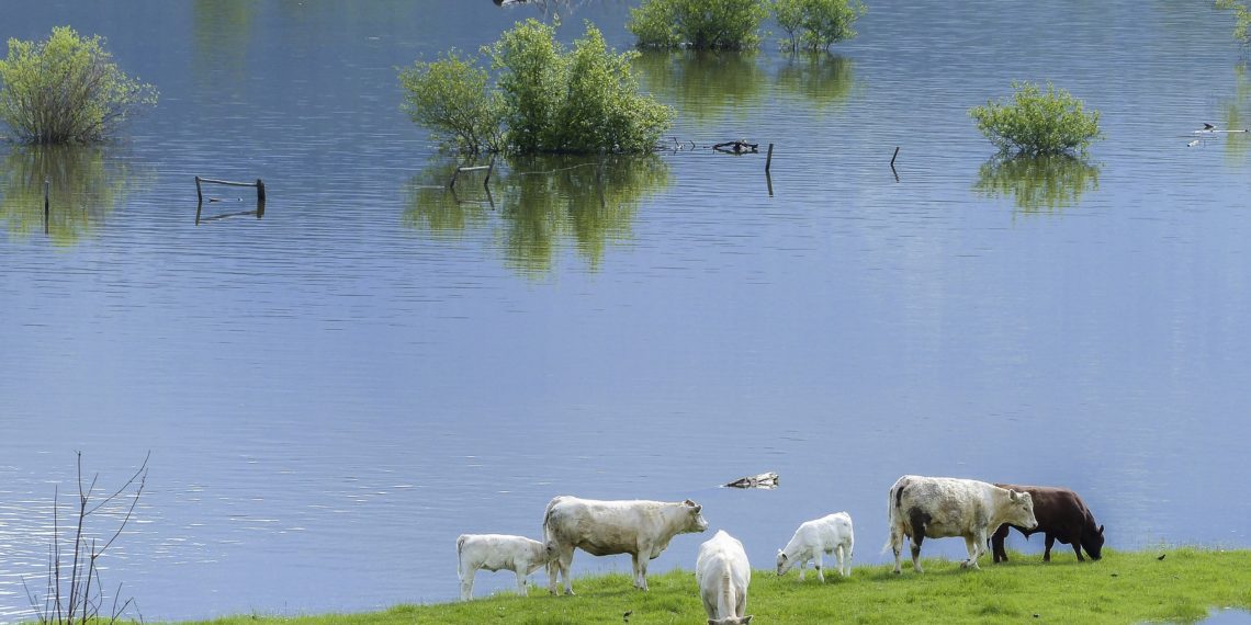 Uus veeseadus. Foto: Pixabay