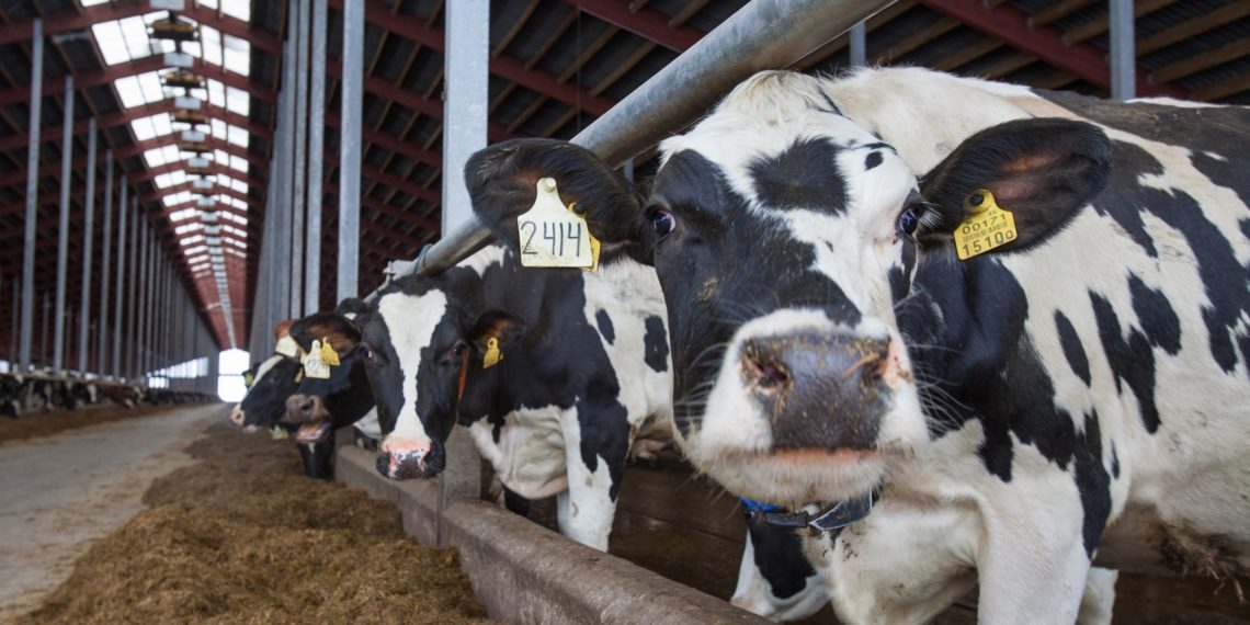 Investeeringutoetuse täiendav taotlusvoor. Foto: Pixabay