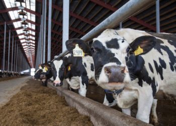 Investeeringutoetuse täiendav taotlusvoor. Foto: Pixabay