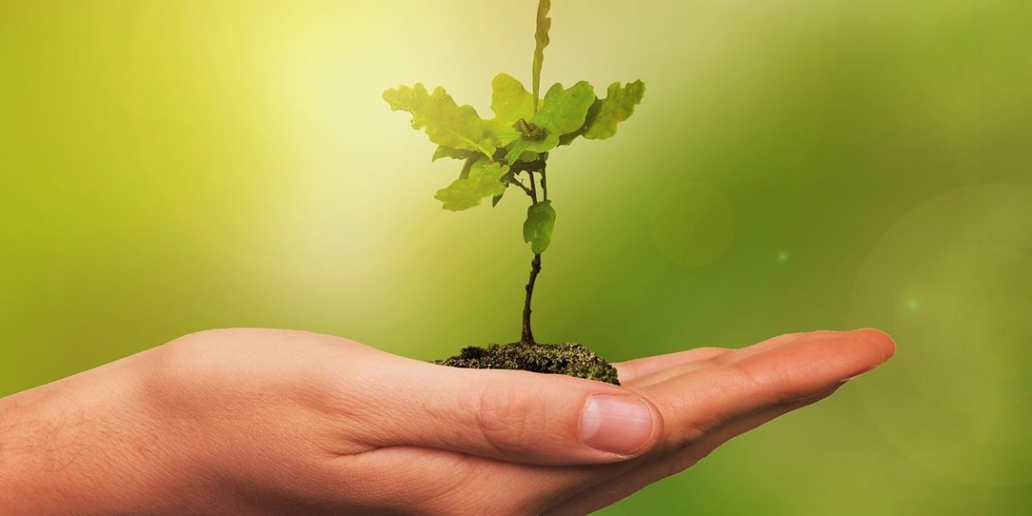 Planeet Maa ja selle elukeskkond ei ole kummist. Foto: Pixabay