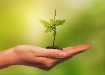 Planeet Maa ja selle elukeskkond ei ole kummist. Foto: Pixabay