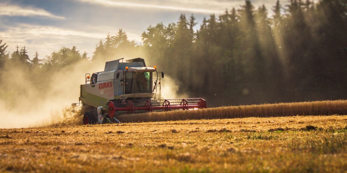 Sinine kütus. Foto: Pixabay