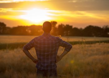 Kuidas paistad, maaelu. Foto: Shutterstock