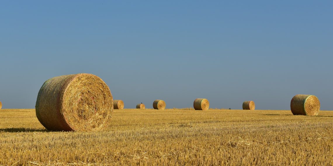 Maamaksu tõus. Foto: Pixabay