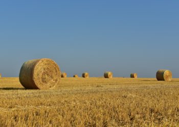 Maamaksu tõus. Foto: Pixabay