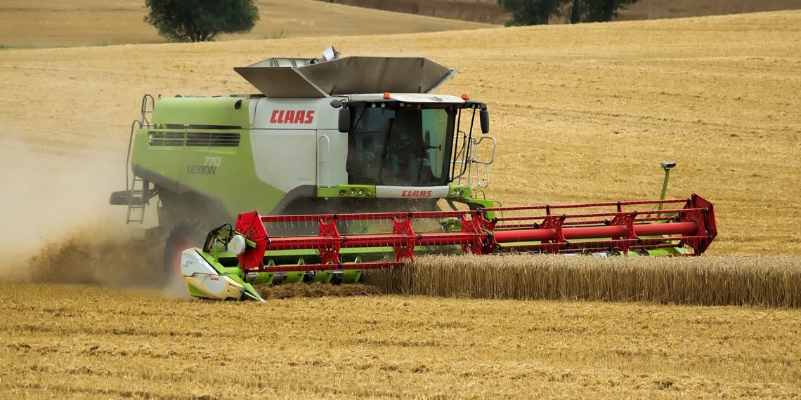 2019 rekordiline teraviljasaak. Foto: pixabay