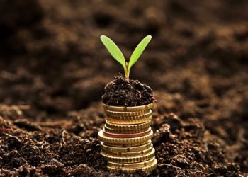 19. novembrini saab PRIAst taotleda toetust keskkonna- ja kliimapoliitika eesmärkide saavutamiseks. Foto: Shutterstock