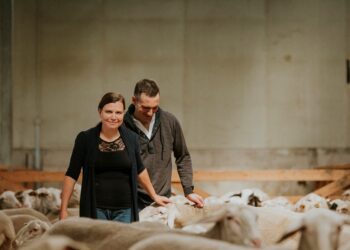 Agroturism. Annemari Polikarpus ja Denis Pretto peavad Nõo vallas Viinamärdi talus piimalambaid ja valmistavad maitsvaid juuste. Foto: Heiki Avent