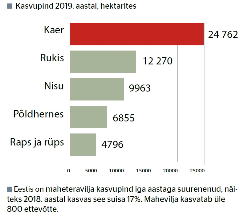 Tabel: Eestis enim kasvatatavad