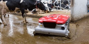Lely Discovery 120 Collector