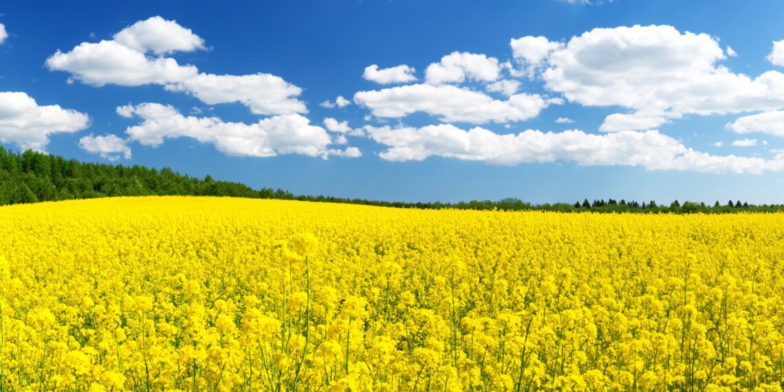 Põllumeeste kingipaki. Foto: Shutterstock