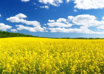 Põllumeeste kingipaki. Foto: Shutterstock