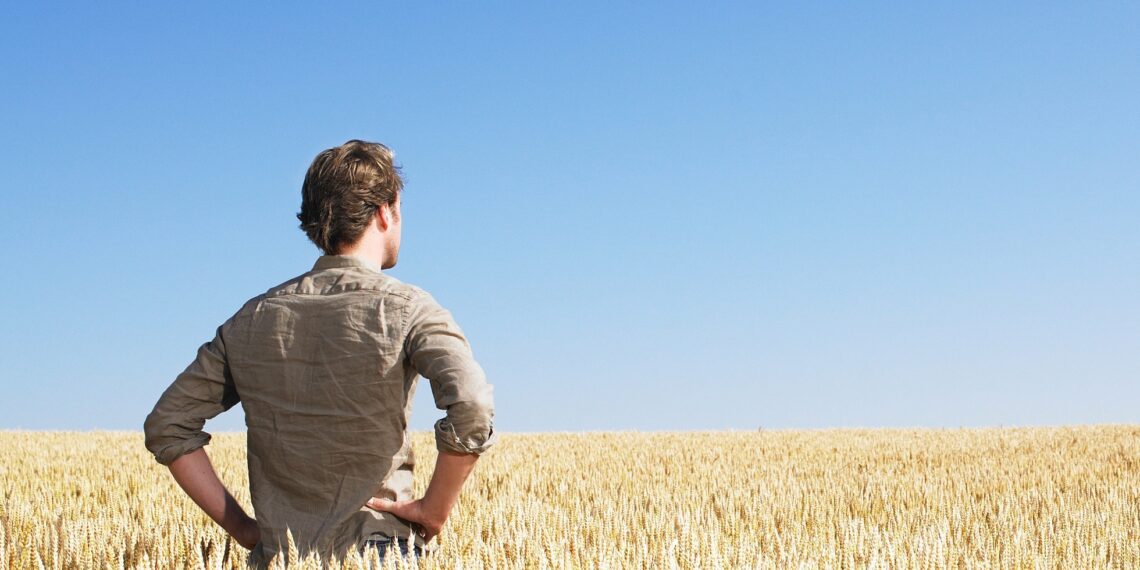 Kutseeksamid veebruaris 2020. Foto: Shutterstock