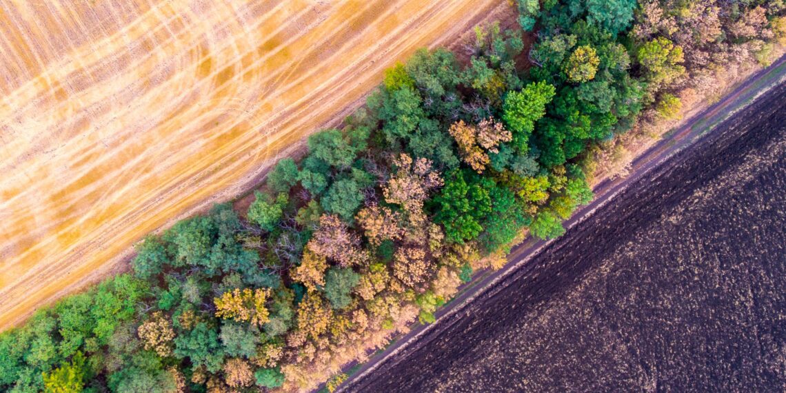 Põllud ja mets. Foto: Shutterstock
