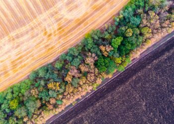 Põllud ja mets. Foto: Shutterstock