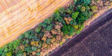 Põllud ja mets. Foto: Shutterstock