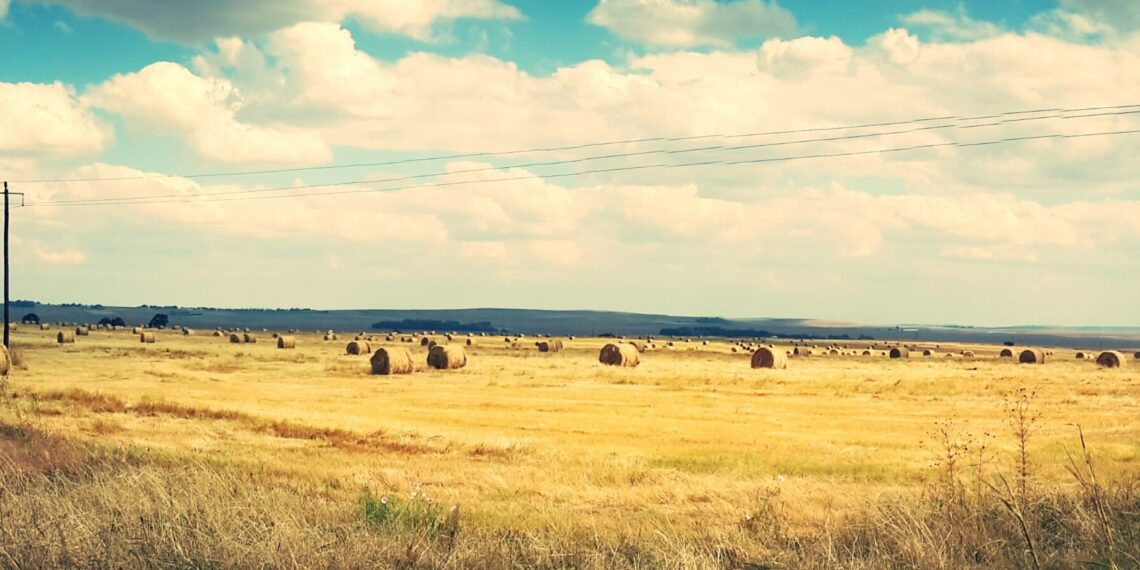 Riigimaa ja toetused. Foto: erakogu