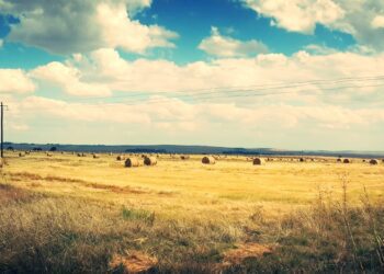 Riigimaa ja toetused. Foto: erakogu