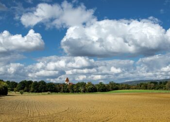 Maamaks. Foto: Pixabay